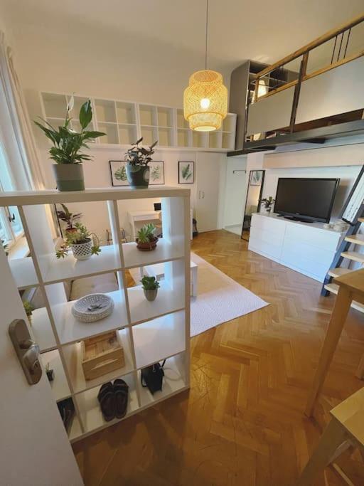 Stefanka Apartment Old Town Bratislava Exteriör bild
